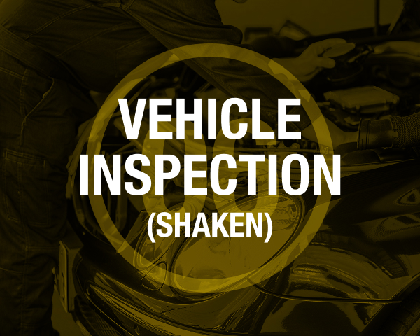 Vehicle Inspection